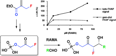 Graphical abstract: Gram scale synthesis of 3-fluoro-1-hydroxyacetone phosphate: a novel donor substrate in rabbit muscle aldolase-catalyzed aldol reactions