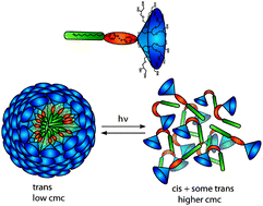 Graphical abstract: Photoresponsive amphiphiles based on azobenzene-dendritic glycerol conjugates show switchable transport behavior