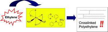 Graphical abstract: A ruthenium catalyst yielding crosslinked polyethylene