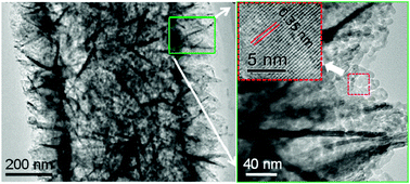 Graphical abstract: Facile synthesis of spiny mesoporous titania tubes with enhanced photocatalytic activity