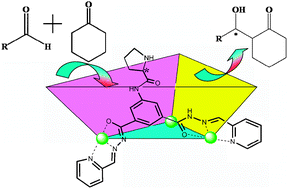 Graphical abstract: An l-proline functionalized metallo-organic triangle as size-selective homogeneous catalyst for asymmetry catalyzing aldol reactions