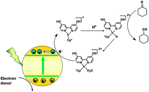 Graphical abstract: A visible-light-driven transfer hydrogenation on CdS nanoparticles combined with iridium complexes