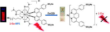 Graphical abstract: Sensing of biologically relevant d-metal ions using a Eu(iii)-cyclen based luminescent displacement assay in aqueous pH 7.4 buffered solution