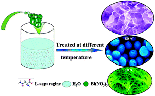 Graphical abstract: Facile synthesis of functional bismuth–amino acid coordination polymer nano-structures