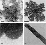 Graphical abstract: Fabrication of multi-structure nanocarbons from carbon xerogel: a unique scaffold towards bio-imaging