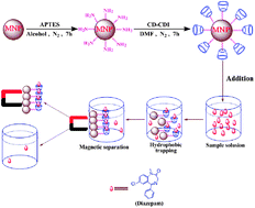 Graphical abstract: β-Cyclodextrin conjugated magnetic nanoparticles for diazepam removal from blood