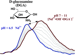 Graphical abstract: Neodymium(iii) complexation by amino-carbohydrates via a ligand-controlled hydrolysis mechanism