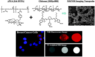 Graphical abstract: Electrostatically assembled biocompatible polymer nanoparticles for MR/optical dual-modality imaging nanoprobes