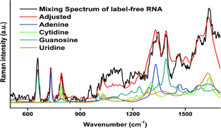 Graphical abstract: Quantitative label-free RNA detection using surface-enhanced Raman spectroscopy