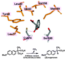 Graphical abstract: Dramatically improved catalytic activity of an artificial (S)-selective arylmalonate decarboxylase by structure-guided directed evolution