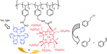 Graphical abstract: Photocatalytic function of a polymer-supported B12 complex with a ruthenium trisbipyridine photosensitizer