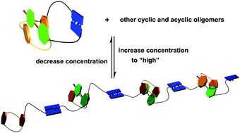 Graphical abstract: New linear supramolecular polymers that are driven by the combination of quadruple hydrogen bonding and crown ether–paraquat recognition