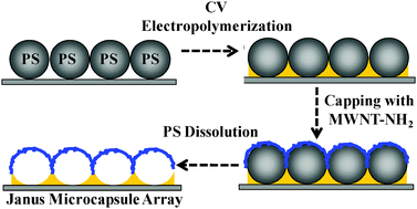 Graphical abstract: Capsulation of carbon nanotubes on top of colloidally templated and electropolymerized polythiophene arrays