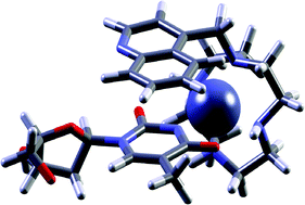 Graphical abstract: Recognition of thymine in DNA bulges by a Zn(ii) macrocyclic complex