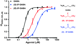 Graphical abstract: Agonist responses of (R)- and (S)-3-fluoro-γ-aminobutyric acids suggest an enantiomeric fold for GABA binding to GABAC receptors