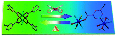 Graphical abstract: Destruction and reconstruction of the robust [Cu2(OOCR)4] unit during crystal structure transformations between two coordination polymers