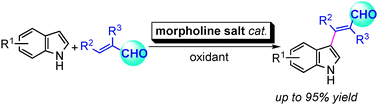 Graphical abstract: Morpholine catalyzed direct C3 alkenylation of indoles with α,β-unsaturated aldehydes