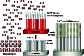 Graphical abstract: A novel catalyst-free synthesis of vertically aligned silicon nanowire–carbon nanotube heterojunction arrays for high performance electron field emitters