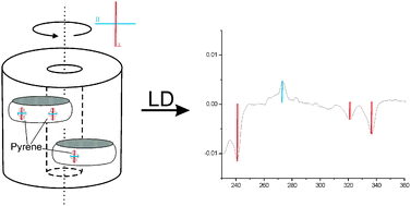 Graphical abstract: Flow-alignment of bicellar lipid mixtures: orientations of probe molecules and membrane-associated biomacromolecules in lipid membranes studied with polarized light