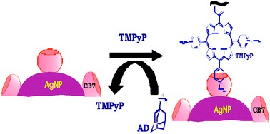 Graphical abstract: Surface functionalized silver nanoparticle conjugates: demonstration of uptake and release of a phototherapeutic porphyrin dye