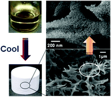 Graphical abstract: Fabrication of mesoporous polymer monolith: a template-free approach