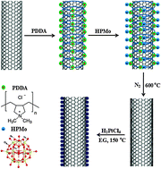 Graphical abstract: Highly dispersed MoOx on carbon nanotube as support for high performance Pt catalyst towards methanol oxidation