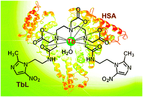 Graphical abstract: Terbium(iii) complex as a luminescent sensor for human serum albumin in aqueous solution