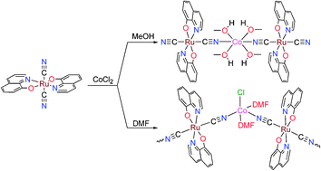 Graphical abstract: Novel heterobimetallic ruthenium(iii)–cobalt(ii) compounds constructed from trans-[RuIII(Q)2(CN)2]− (Q = 8-quinolinolato): synthesis, structures and magnetic properties