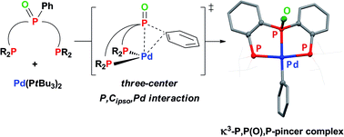 Graphical abstract: Original phenyl–P(O) bond cleavage at palladium(0): a combined experimental and computational study