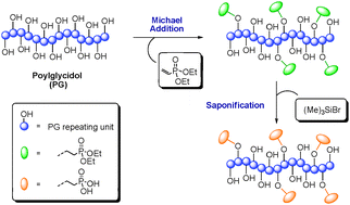 Graphical abstract: Post-polymerization functionalization of linear polyglycidol with diethyl vinylphosphonate