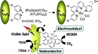 Graphical abstract: Direct assembly synthesis of metal complex–semiconductor hybrid photocatalysts anchored by phosphonate for highly efficient CO2 reduction
