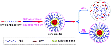 Graphical abstract: Self-assembling nanomicelles of a novel camptothecin prodrug engineered with a redox-responsive release mechanism