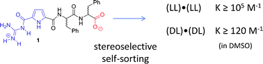 Graphical abstract: Stereoselective self-sorting in the self-assembly of a Phe–Phe extended guanidiniocarbonyl pyrrole carboxylate zwitterion: formation of two diastereomeric dimers with significantly different stabilities