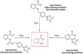 Graphical abstract: Investigation of self-immolative linkers in the design of hydrogen peroxide activated metalloprotein inhibitors