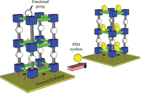 Graphical abstract: Post-synthetic modification of epitaxially grown, highly oriented functionalized MOF thin films