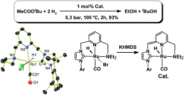 Graphical abstract: Ester hydrogenation catalyzed by Ru-CNN pincer complexes