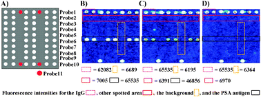 Graphical abstract: 9G DNAChip: a platform for the efficient detection of proteins