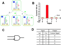 Graphical abstract: Design of a DNA electronic logic gate (INHIBIT gate) with an assaying application for Ag+ and cysteine