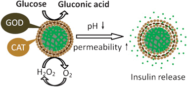 Graphical abstract: A glucose-responsive controlled release of insulin system based on enzyme multilayers-coated mesoporous silica particles