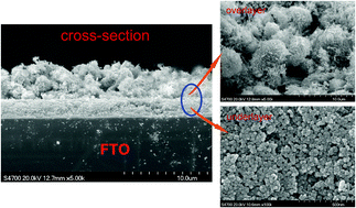 Graphical abstract: Dual-functional ZnO nanorod aggregates as scattering layer in the photoanode for dye-sensitized solar cells