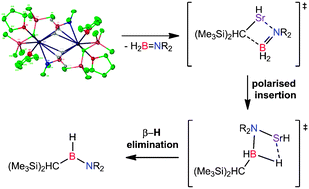 Graphical abstract: Alkylstrontium diamidoboranes: β-hydride elimination and Sr–C insertion