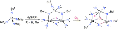 Graphical abstract: Unexpected formation of a trinuclear complex containing a Ta(iv)–Ta(iv) bond in the reactions of ButN [[double bond, length as m-dash]] Ta(NMe2)3 with silanes