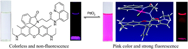 Graphical abstract: A new rhodamine based colorimetric ‘off–on’ fluorescence sensor selective for Pd2+ along with the first bound X-ray crystal structure