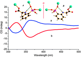 Graphical abstract: A ligand-conformation driving chiral generation and symmetry-breaking crystallization of a zinc(ii) organoarsonate