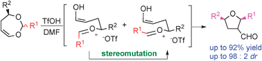 Graphical abstract: 2,5-cis-2,3,5-Trisubstituted tetrahydrofurans from the diastereomixture of 2,4-disubstituted 1,3-dioxepins via stereomutation