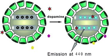 Graphical abstract: Mesoporous silica particles for selective detection of dopamine with β-cyclodextrin as the selective barricade