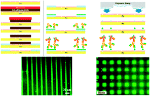 Graphical abstract: Patterning small-molecule biocapture surfaces: microcontact insertion printing vs.photolithography