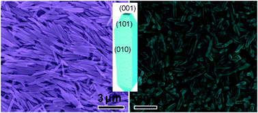 Graphical abstract: Synthesis of anatase TiO2 rods with dominant reactive {010} facets for the photoreduction of CO2 to CH4 and use in dye-sensitized solar cells