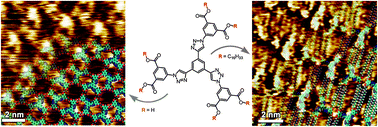 Graphical abstract: Modulating the self-assembly of rigid “clicked” dendrimers at the solid–liquid interface by tuning non-covalent interactions between side groups