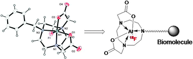 Graphical abstract: Stable aluminium fluoride chelates with triazacyclononane derivatives proved by X-ray crystallography and 18F-labeling study